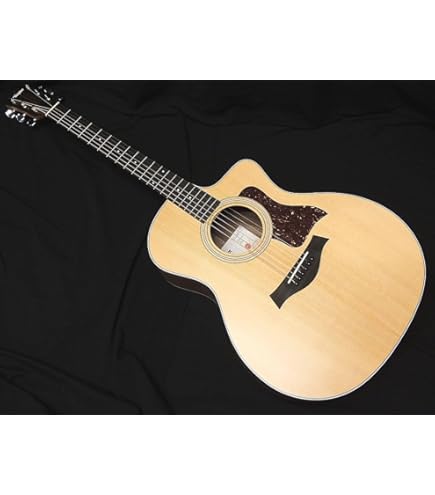 Amazon | Taylor 314ce エレアコギター テイラー | スチール弦